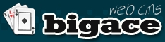 BIGACE Logo.jpg