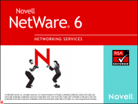 NetWare.png