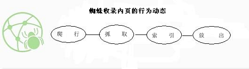 用蜘蛛工作原理来指导网站SEO优化