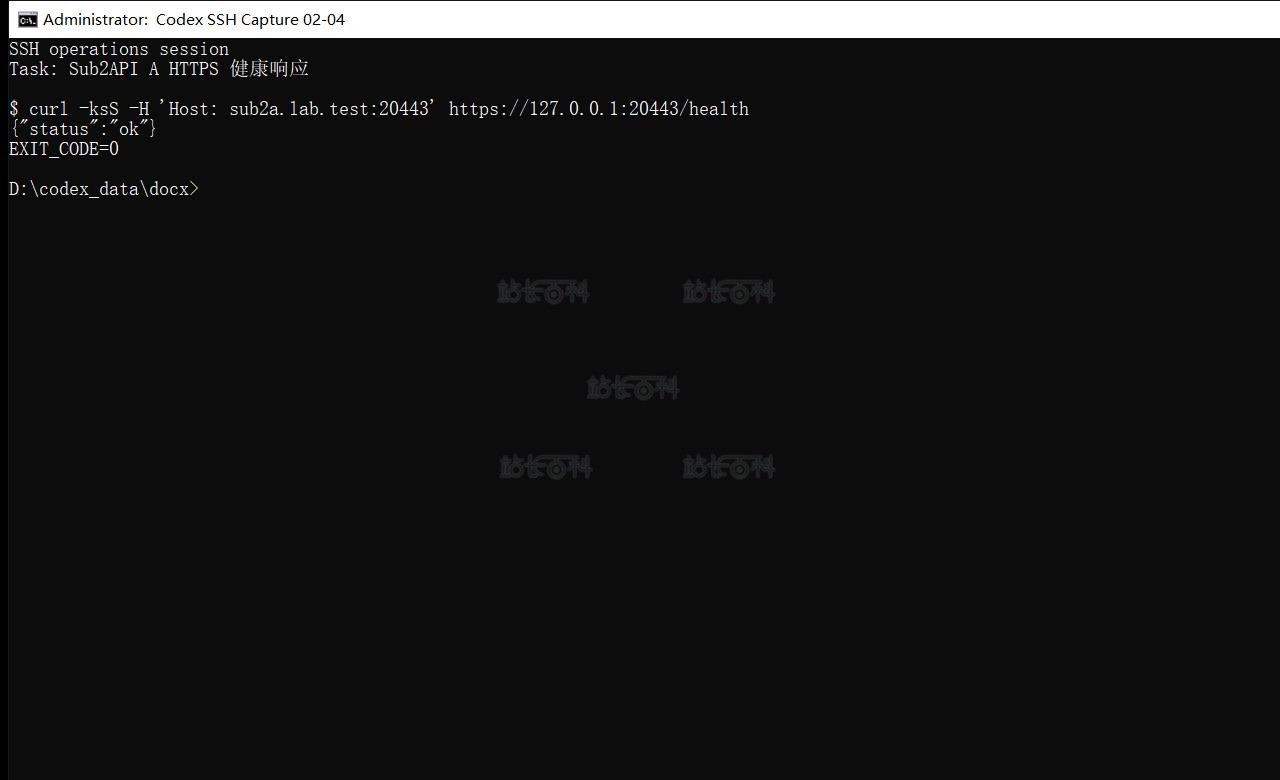 Sub2API 4.jpg Authentik Ready 端点返回 HTTP 200