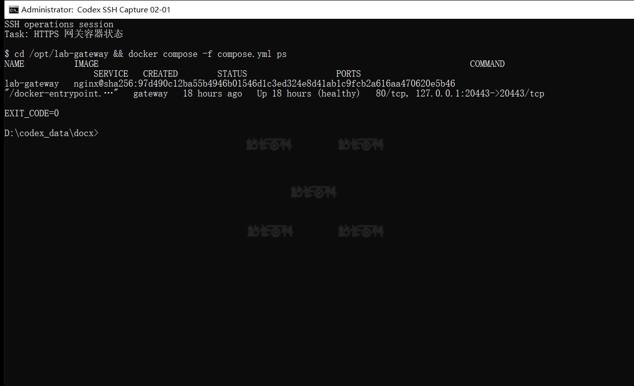 Sub2API 1.jpg 网关容器状态及端口映射