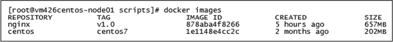 Nginx Docker容器化配置