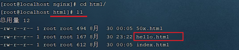 Nginx源代码安装与基础配置指南