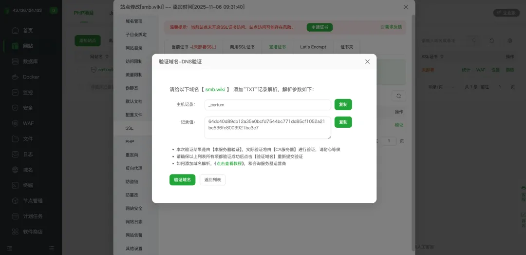 完成 DNS 验证