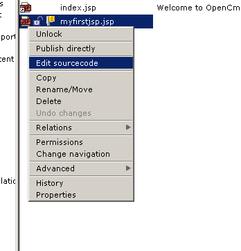OpenCms NewJsp6.png