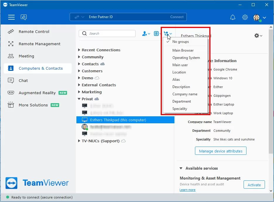 TeamViewer设备分组