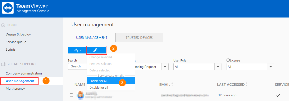 TeamViewer BossSolutions