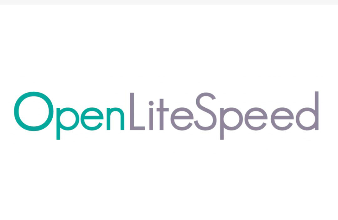 OpenLiteSpeed配置教程