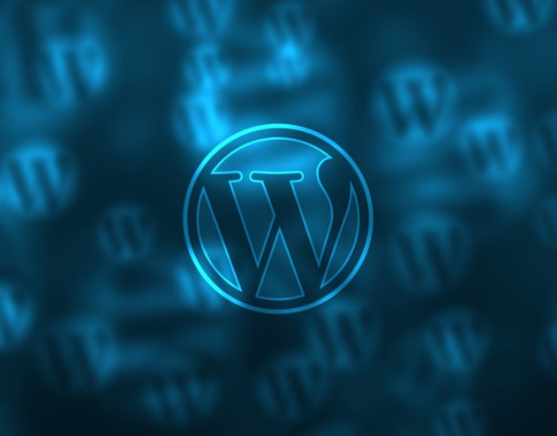 提升WordPress网站安全性的小技巧
