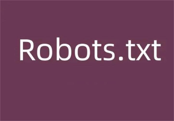 robots.txt文件