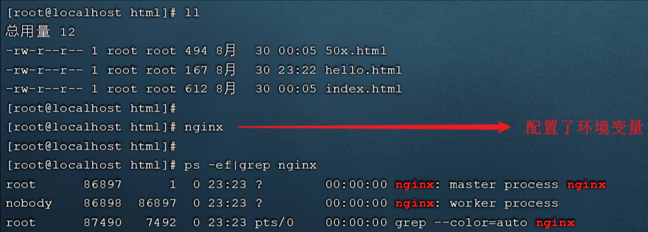 Nginx源代码安装与基础配置指南