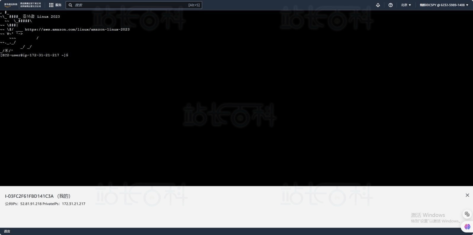 通过亚马逊免费云服务器部署RustDesk服务器教程