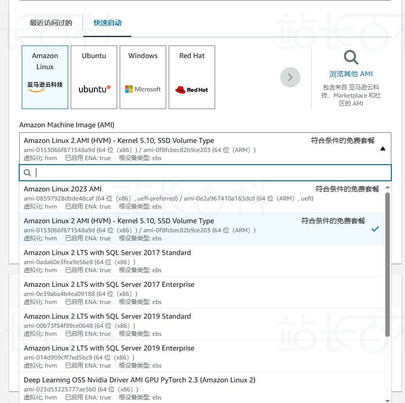 通过亚马逊免费云服务器部署RustDesk服务器教程