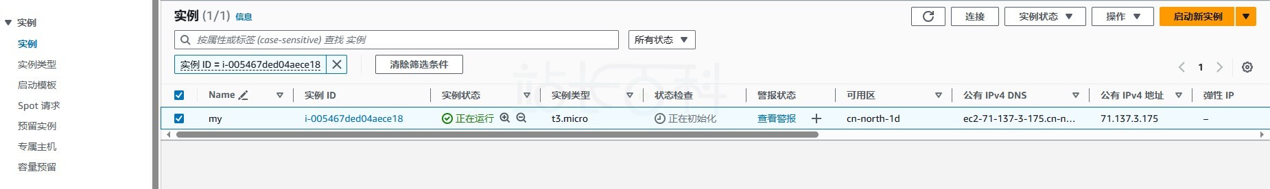 通过亚马逊免费云服务器部署RustDesk服务器教程