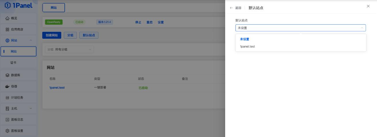 1Panel面板网站其他设置