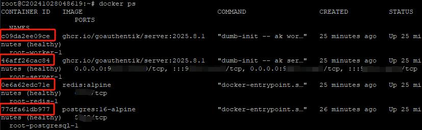 容器化Authentik升级教程