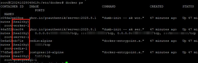 容器化Authentik升级教程