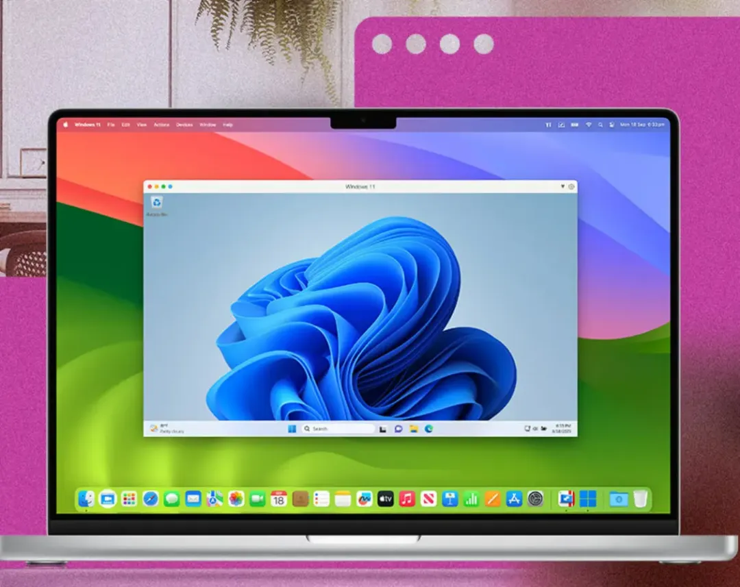 麦软商城双十一秒杀 60+正版软件1折起