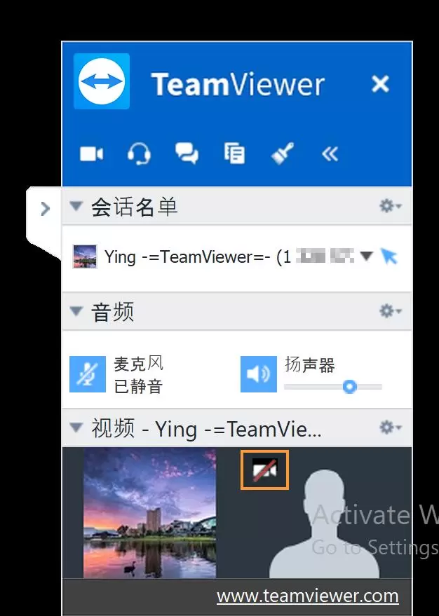 TeamViewer macOS会话