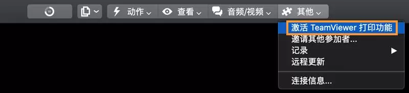 TeamViewer远程打印
