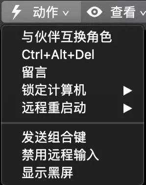 TeamViewer macOS会话