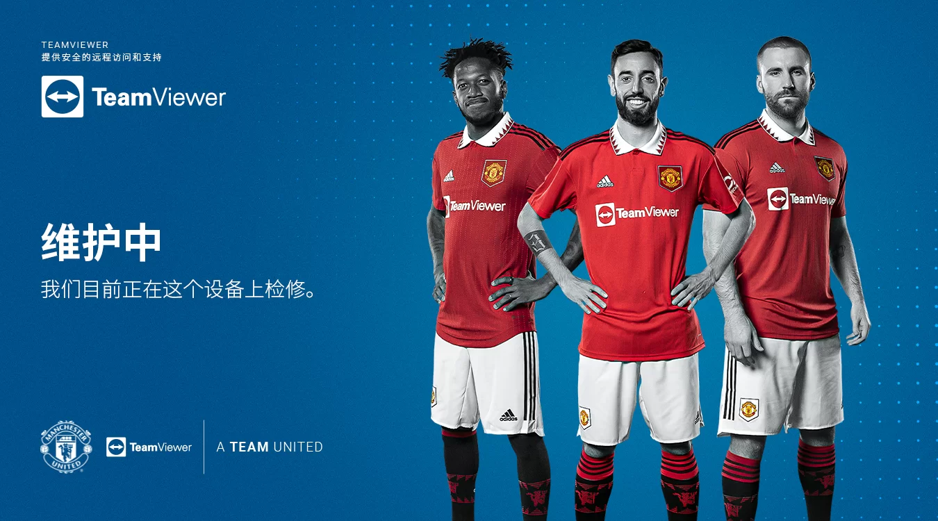 TeamViewer下载自定义屏保